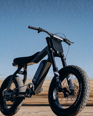 ステンレス製11個セット P-51 Bike Company – E-Bikes Designed for the Ride