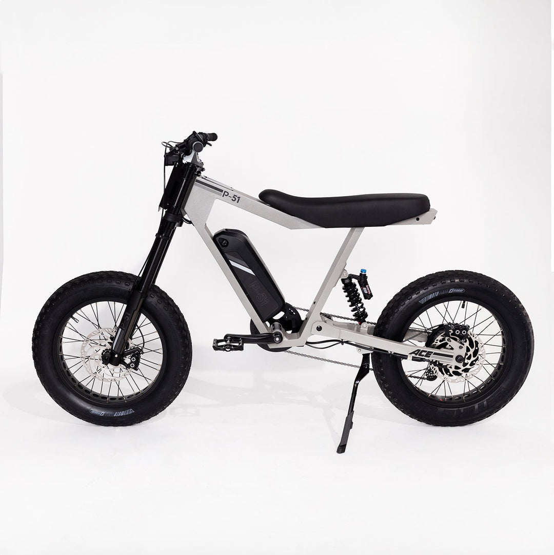cheap electric bicycle The Ace – E-Bikes Designed for the Ride